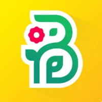 Buchet - цветы и подарки